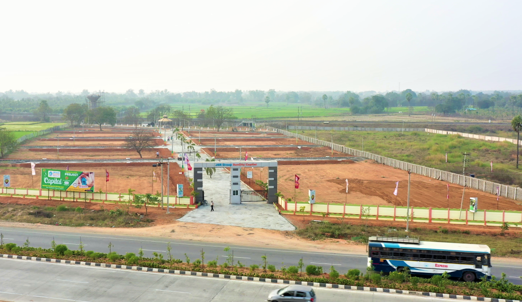 Project View
