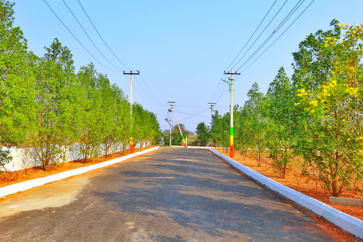 Srisailam View 2