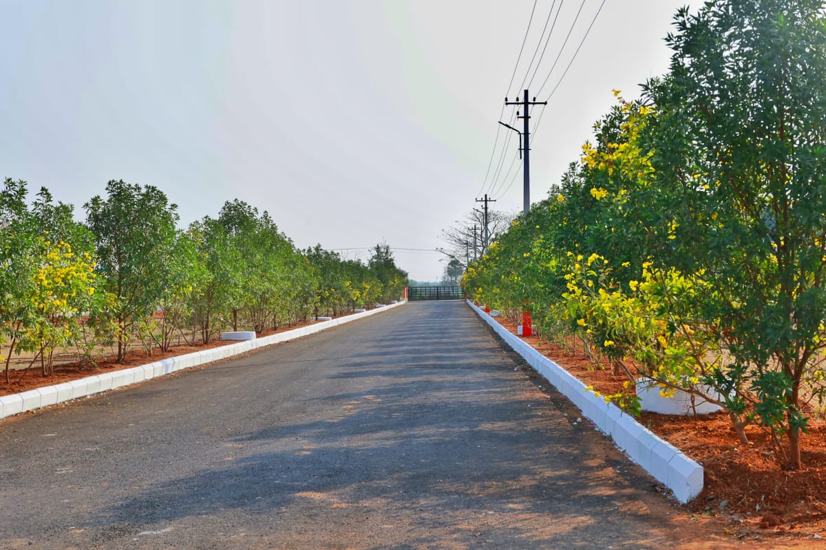 Srisailam View 3