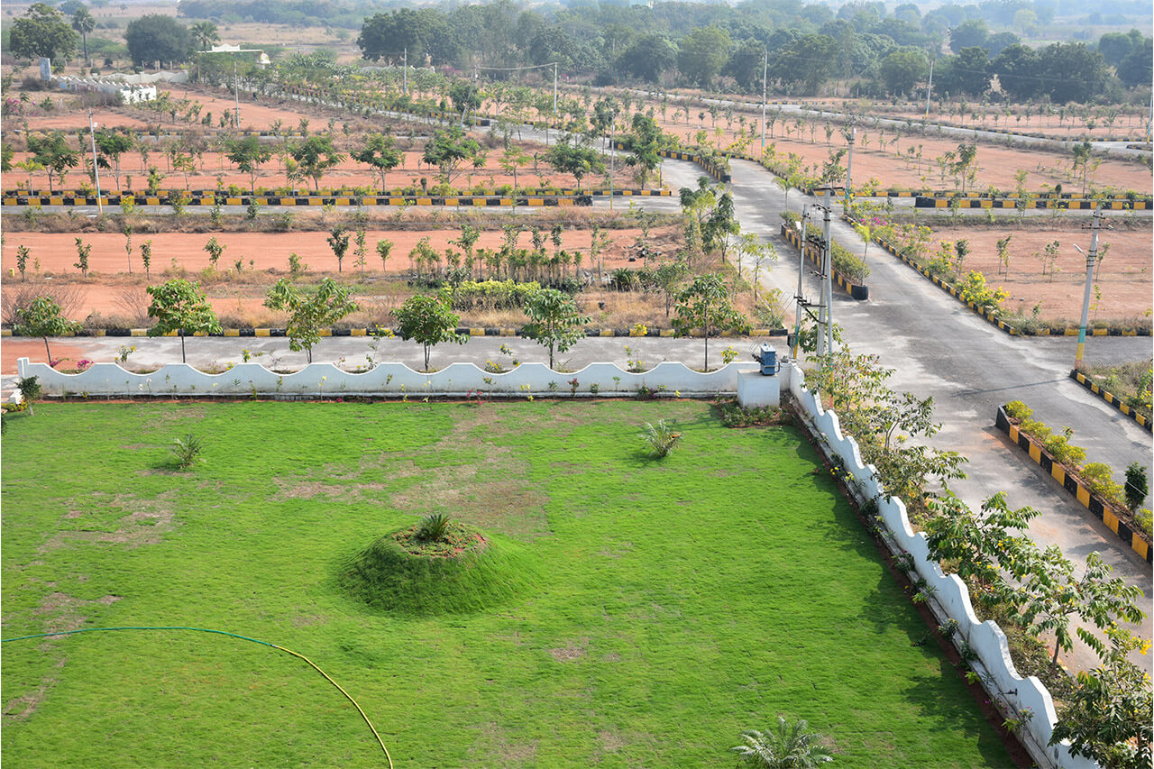 Project View 3